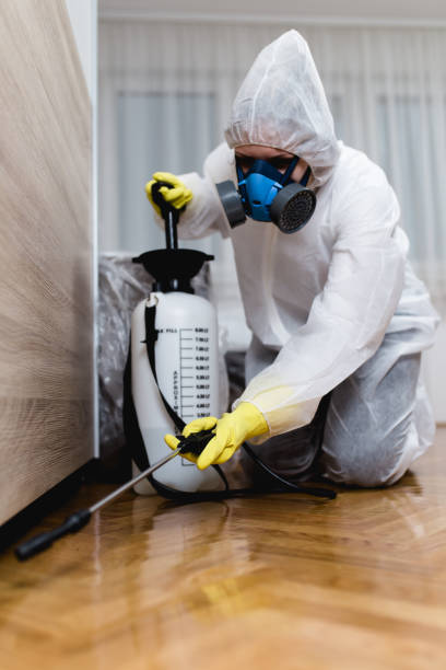 Emergency Pest Control Services in Upper Saddle River, NJ